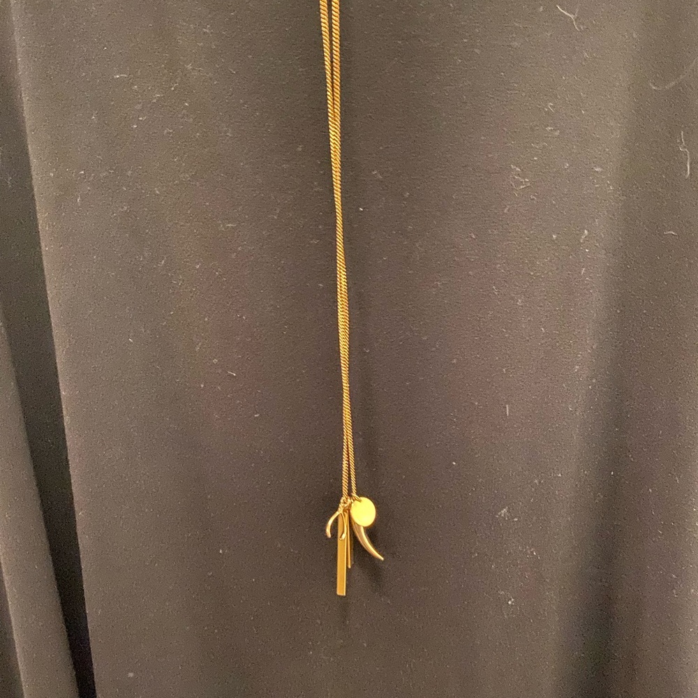 JCrew long gold necklace with charms